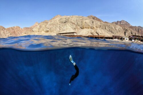 Моноласта Freediving Glide-fin